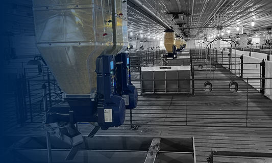 Feed Blending Pays: A Practical Path to Precision in Grow-Finish Barns