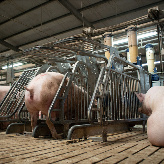 Lifetime of your Farm Equipement