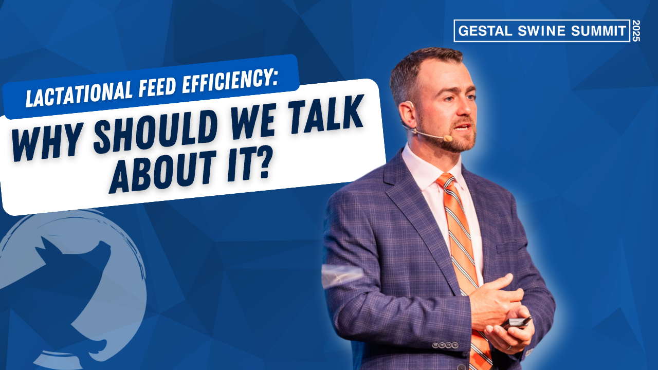 Load video: Watch the presentation on lactational feed efficiency