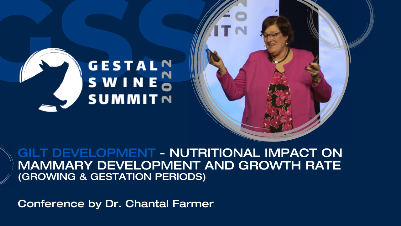 Charger la vidéo : 