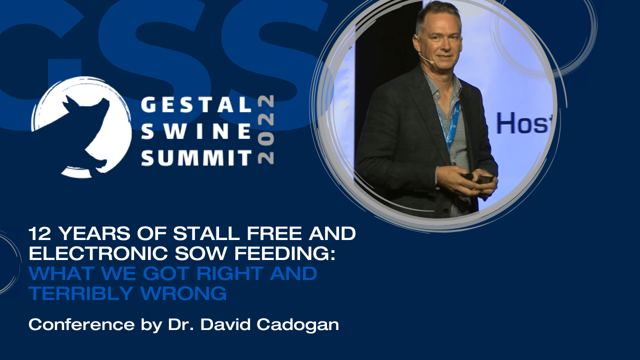 Charger la vidéo : 