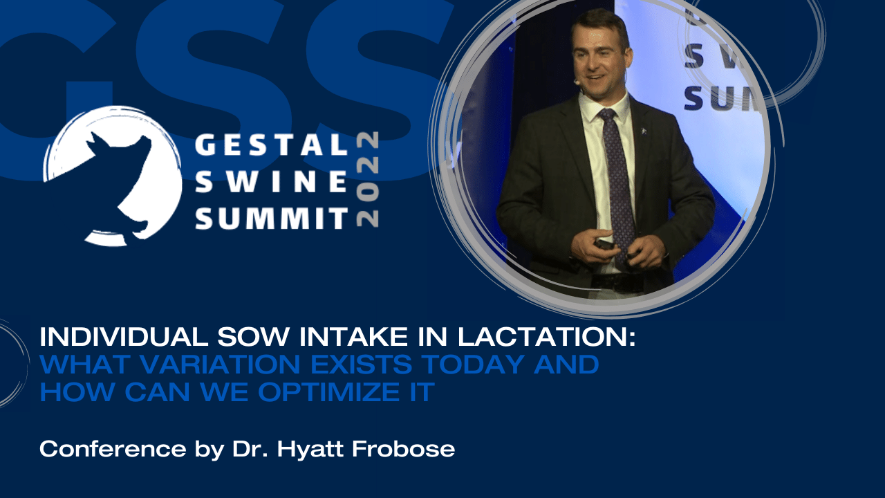 Charger la vidéo : 