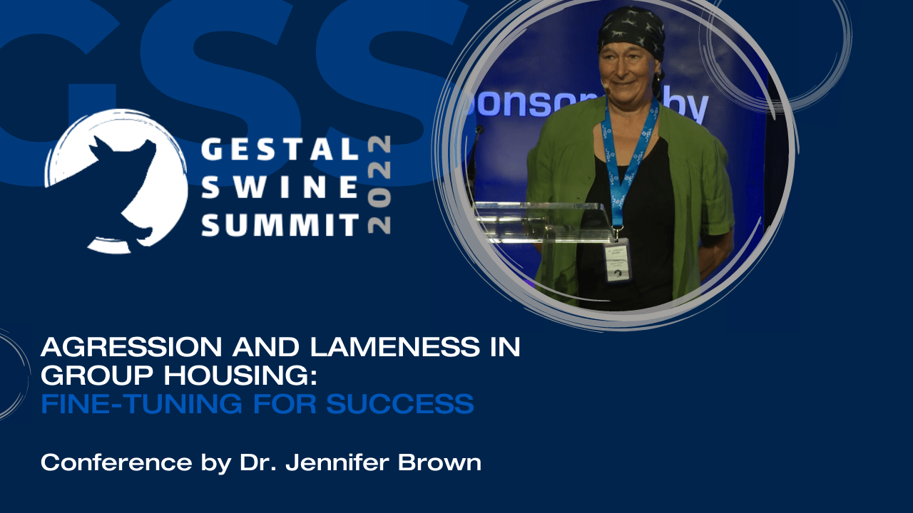 Charger la vidéo : 