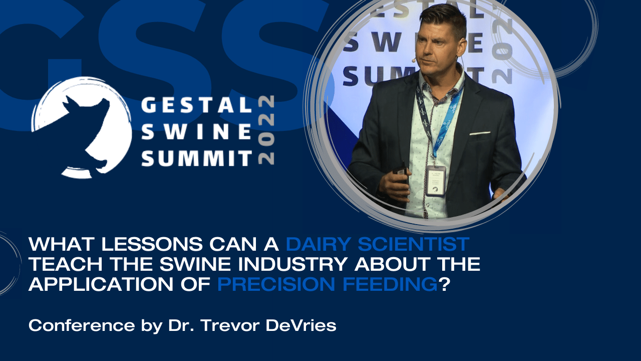 Charger la vidéo : 