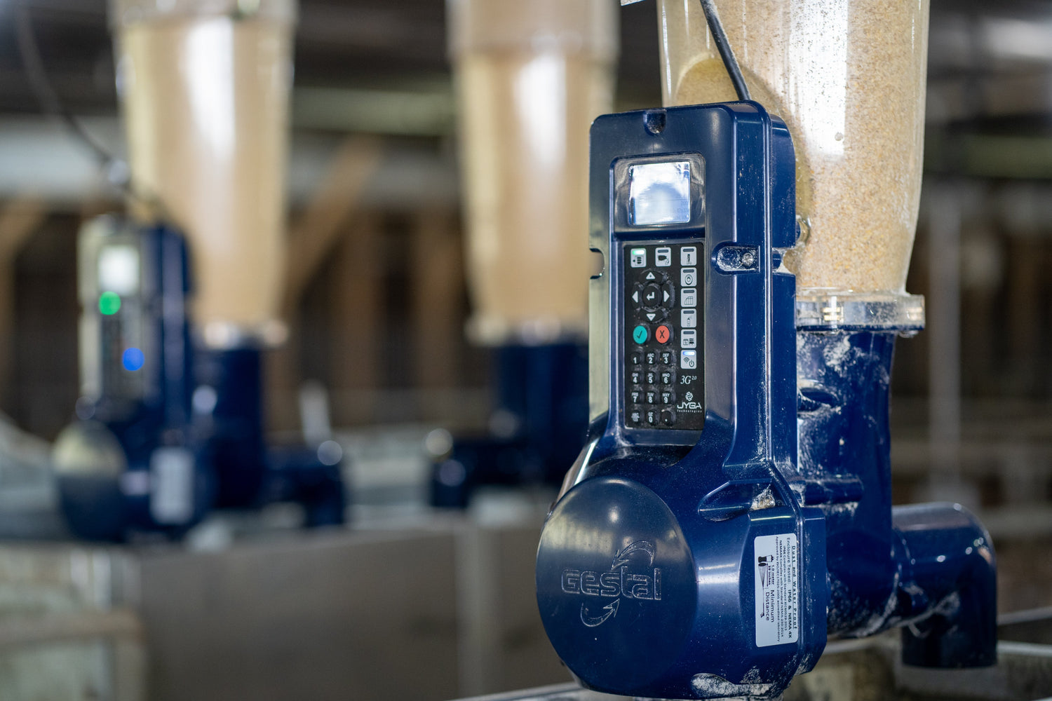 Close-up of a GESTAL feeder in a group-housed park