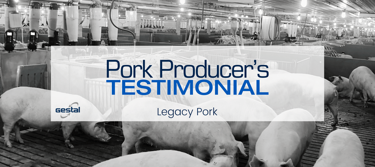 Load video: The owners of Legacy Pork, located in Missouri, USA, share their experience about the use of the GESTAL 3G and GESTAL Solo and how it allowed them to better manage day-to-day operations.