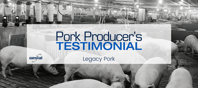 GESTAL client telling about their smart feeding system