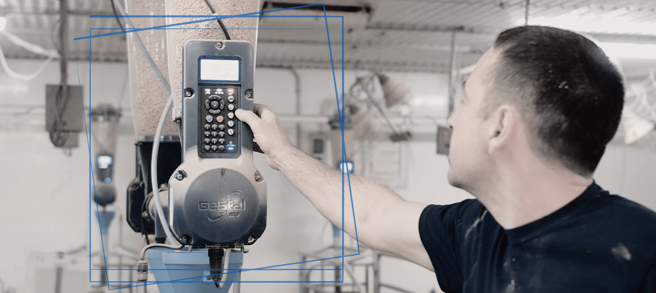 Farm worker and a smart feeding system for pigs