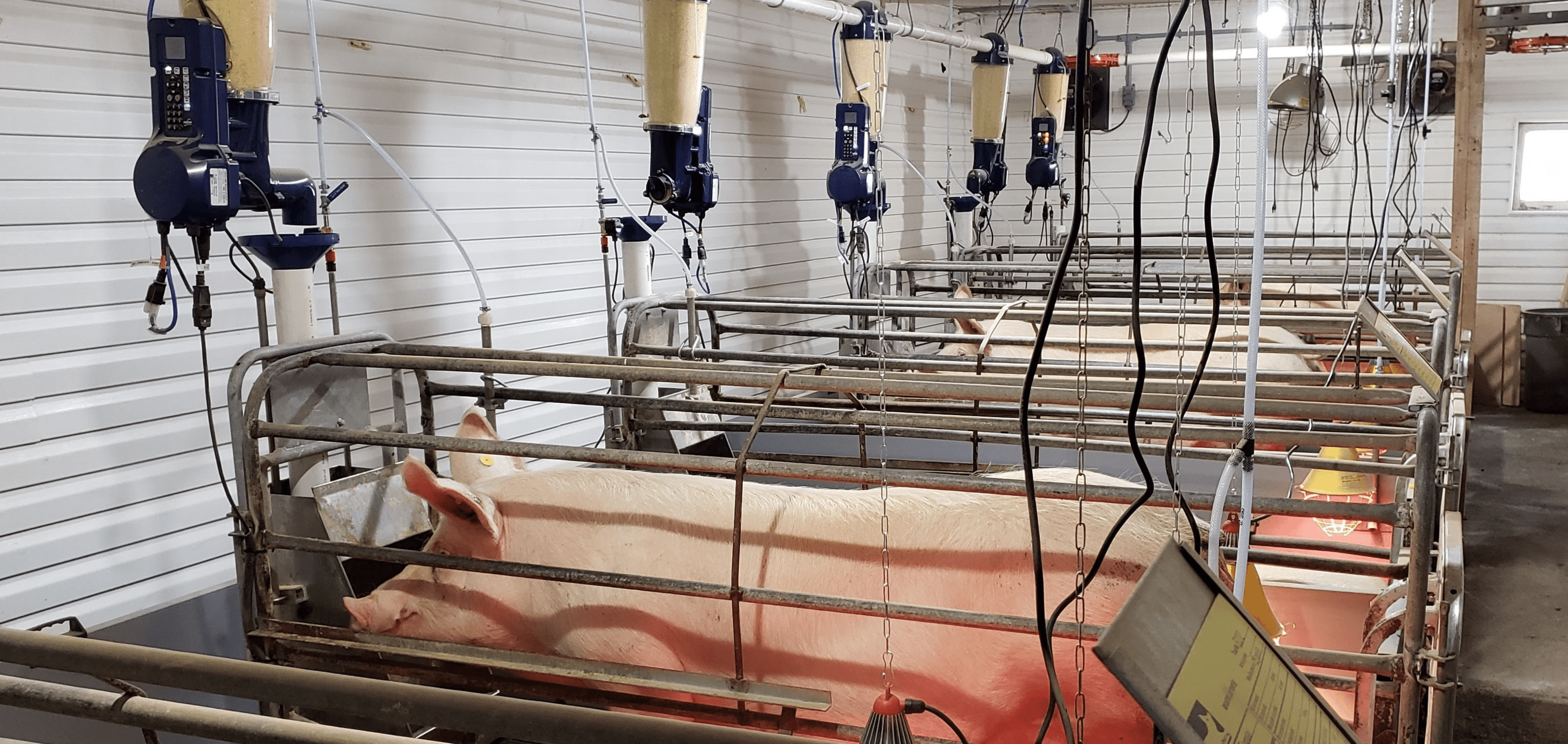 Charger la vidéo : 