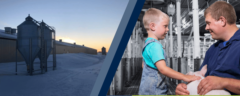 Feed bin and a pig farm