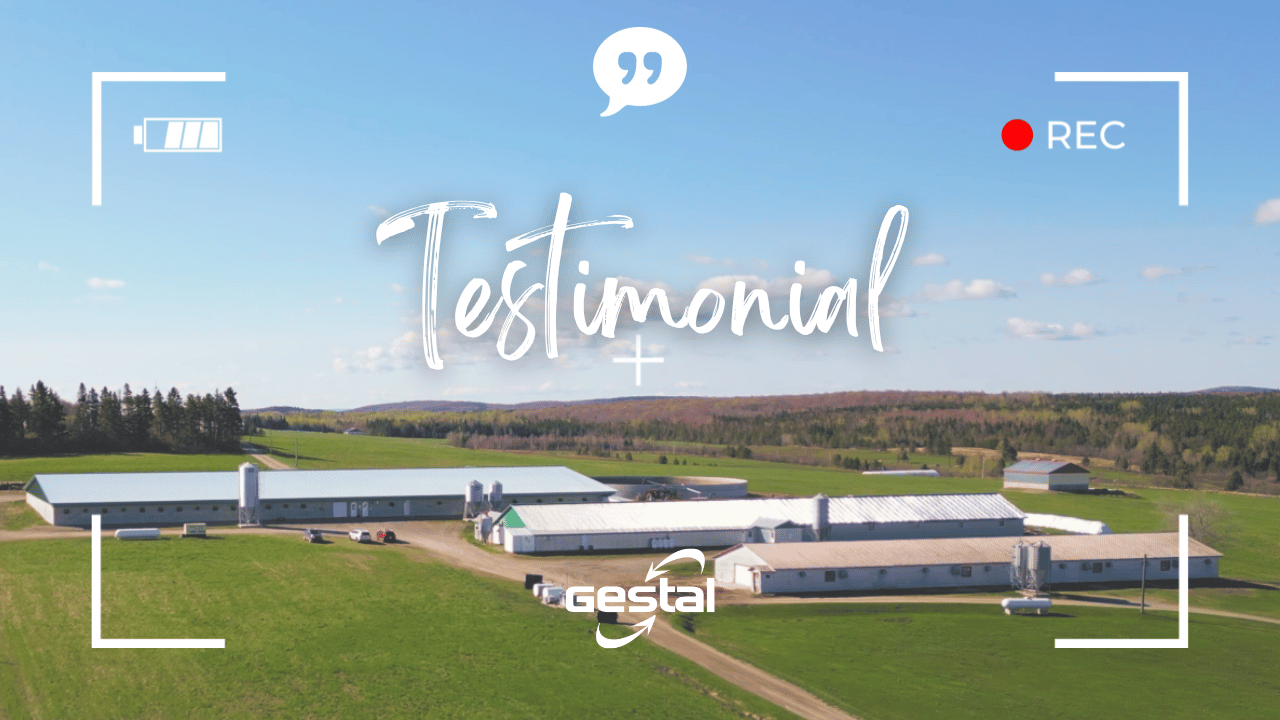 Charger la vidéo : 