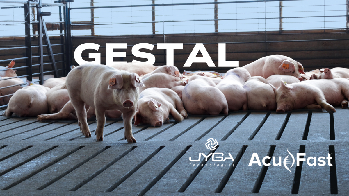 Load video: Explore two sites that are using the GESTAL feeding system. This technology shows AcuFast’s commitment to investing in a solution that enhances product quality. 